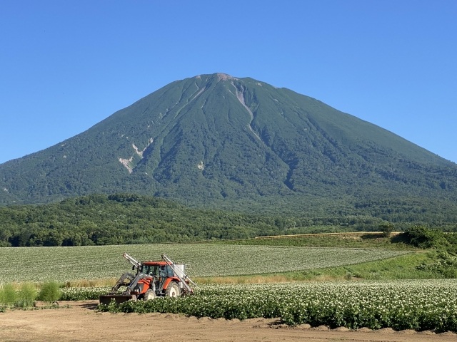 蝦夷富士という名前もある羊蹄山（イメージ）