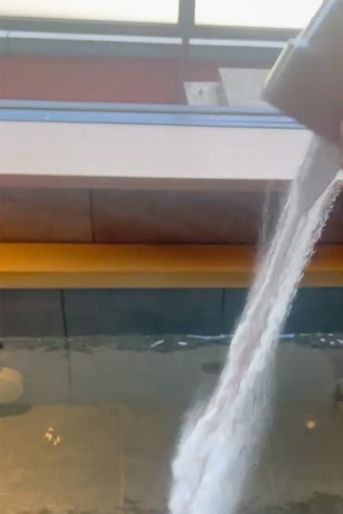 カップに山盛り5杯の重曹を入れていたという(従業員提供)