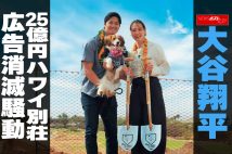 【動画】大谷翔平 25億円ハワイ別荘 広告消滅騒動