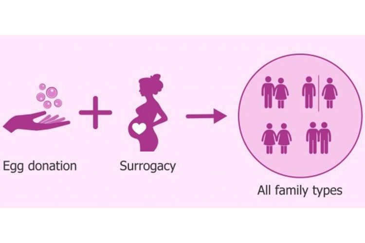 法人は他人の子どもを妊娠・出産する代理母を募集し、代理出産ビジネスを手がけていた（Facebookより）