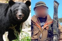 野生のヒグマの恐怖を対峙したハンターが語った（左の写真はサンプルです）