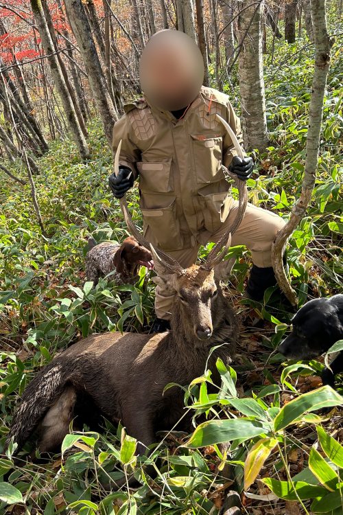 クマ被害については「気配を感じたら迷わずに逃げるべき」と述べた