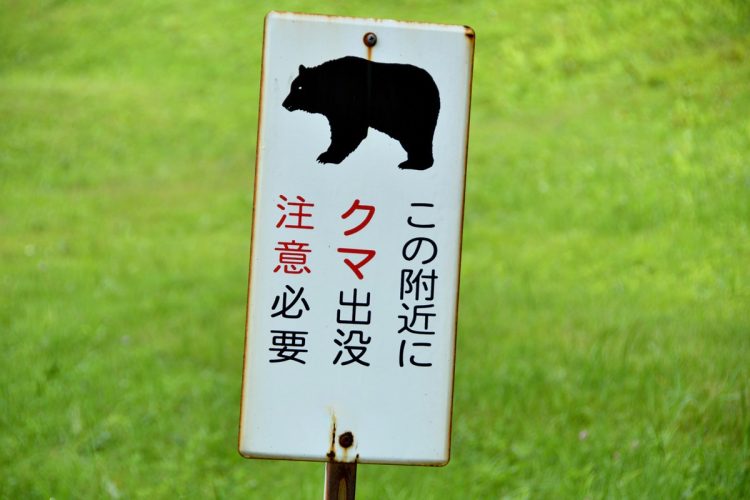 クマ出没注意（写真提供／イメージマート）