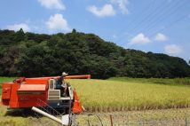 米価格が下がらないのは、農家が“自分にとってどのような選択が最高か”を考えた帰結　田植えと稲刈り経験を経て実感する「米価格はこれまでが安過ぎた」