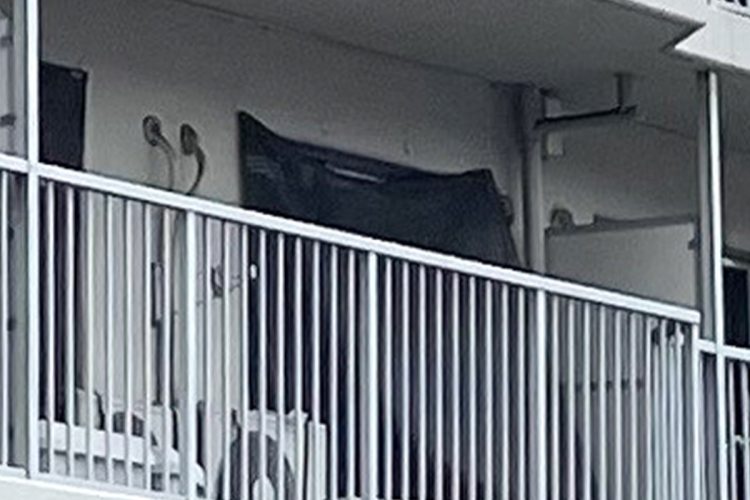 松本智津夫・元死刑囚の二男宅（時事通信フォト）