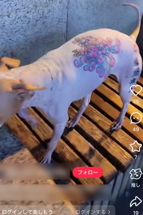 漢字のような文字も見受けられる（REDより）