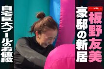 【動画】板野友美　豪邸の新居　自宅巨大プールのお値段