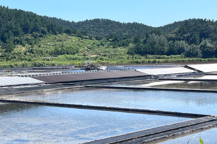 新衣島の塩田（※事件現場とは関係ありません）