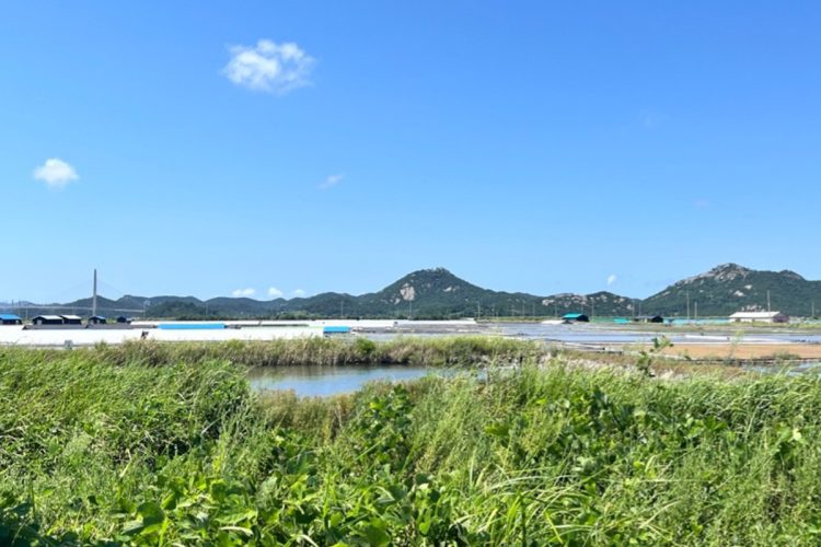 新衣島ではこうした風景が延々と続く