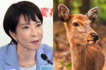 "外国人シカ暴行発言”が波紋を呼んでいる──（時事通信フォト）