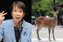 ”シカ発言”を受けて、日テレのニュース番組がまさかの事態になっている（時事通信フォト）