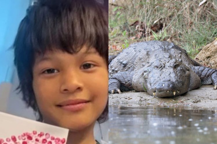 米ルイジアナ州で12歳の少年がワニに襲われ死亡した事件が起きた（Facebook /ワニの写真はサンプルです）