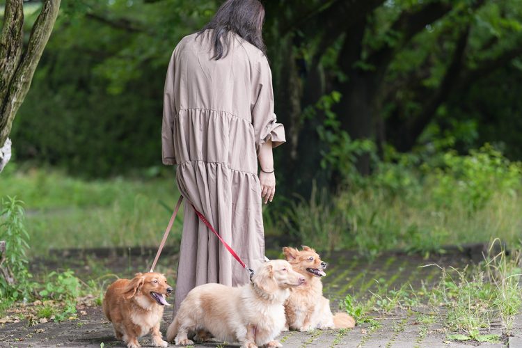 3匹の愛犬の今後が心配だという