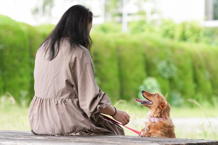 今は愛犬の体調が気がかりだという
