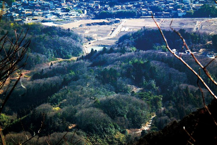 住宅地に隣接する里山（神戸市北区山田町）。荒廃した里山は野生動物の楽園となり、獲物を求めた熊も侵出する