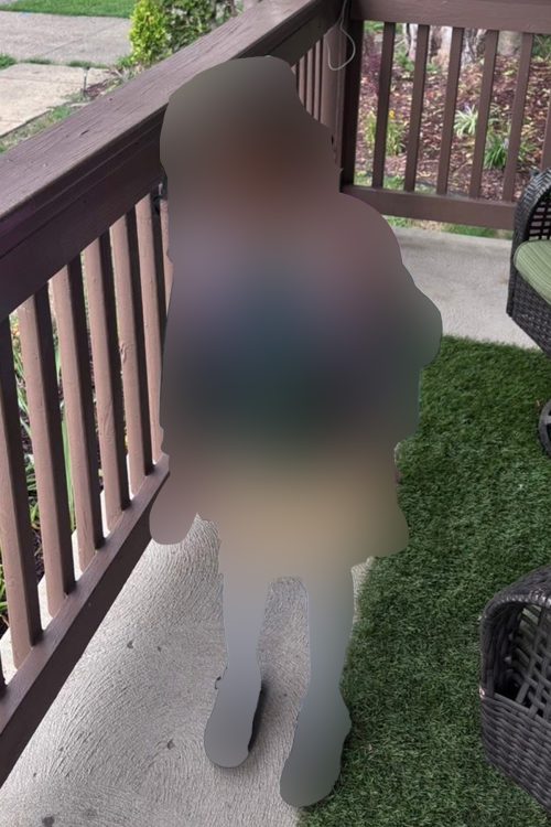 少女は暴力的な発言をするなどの後遺症に苦しんでいる(被害者の母親のFacebookより)