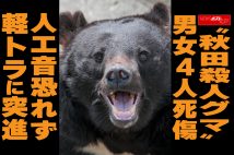 【動画】“秋田殺人グマ” 男女4人死傷　人工音恐れず軽トラに突進
