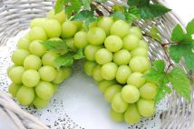 【ふるさと納税】専門家が勧めるお得な返礼品は「令和6年産のお米」「シャインマスカットやさくらんぼの先行予約」など 酒税を抑えられる「沖縄のお酒」も要チェック