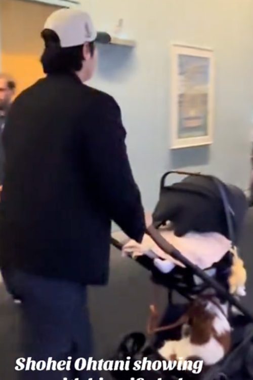 ベビーカーからは娘の足が見えていた（TikTokより）