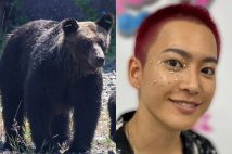 相次ぐクマ被害のために、映画ロケが中止に…（左／時事通信フォト、右／インスタグラムより）