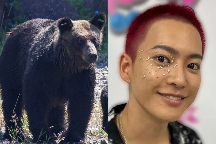 相次ぐクマ被害のために、映画ロケが中止に…（左／時事通信フォト、右／インスタグラムより）