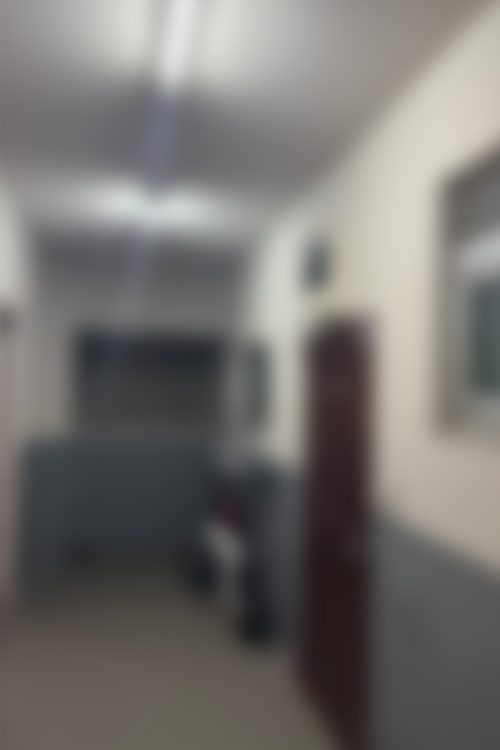 人の出入りは多くない