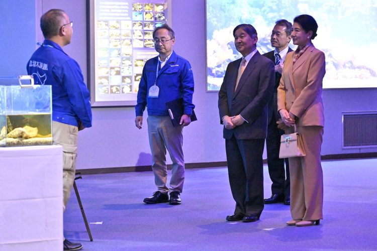 鳥羽水族館ではラッコなどをご覧になった(2025年11月8日、撮影/JMPA)