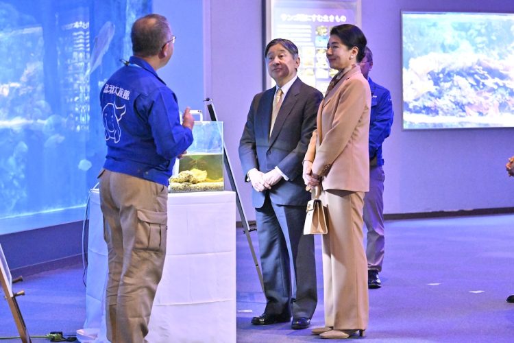 鳥羽市の鳥羽水族館を視察された(2025年11月8日、撮影/JMPA)