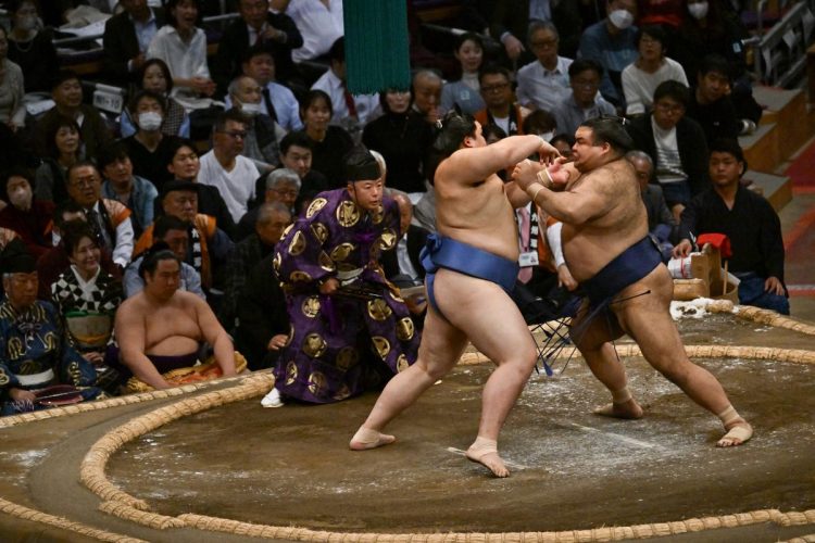 土俵の盛り上がりに花を添えている