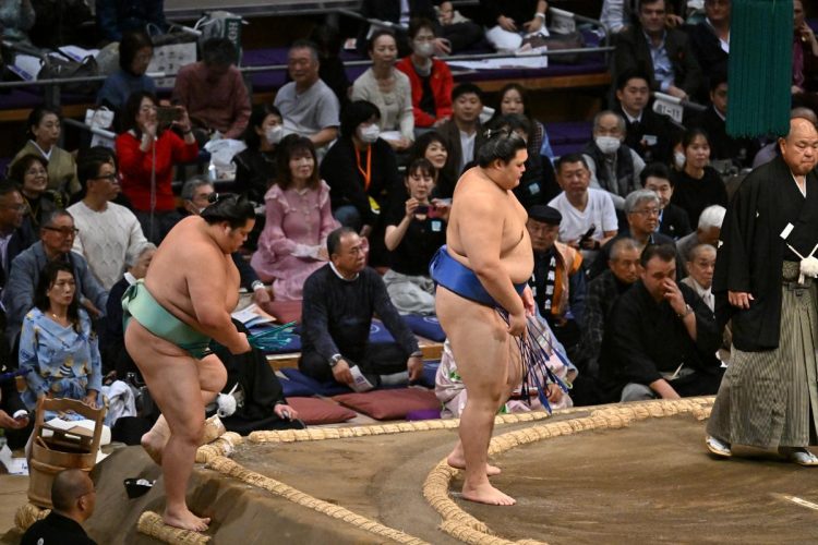 初日の向正面にはジェラートピケの浴衣地ワンピース姿の女性も
