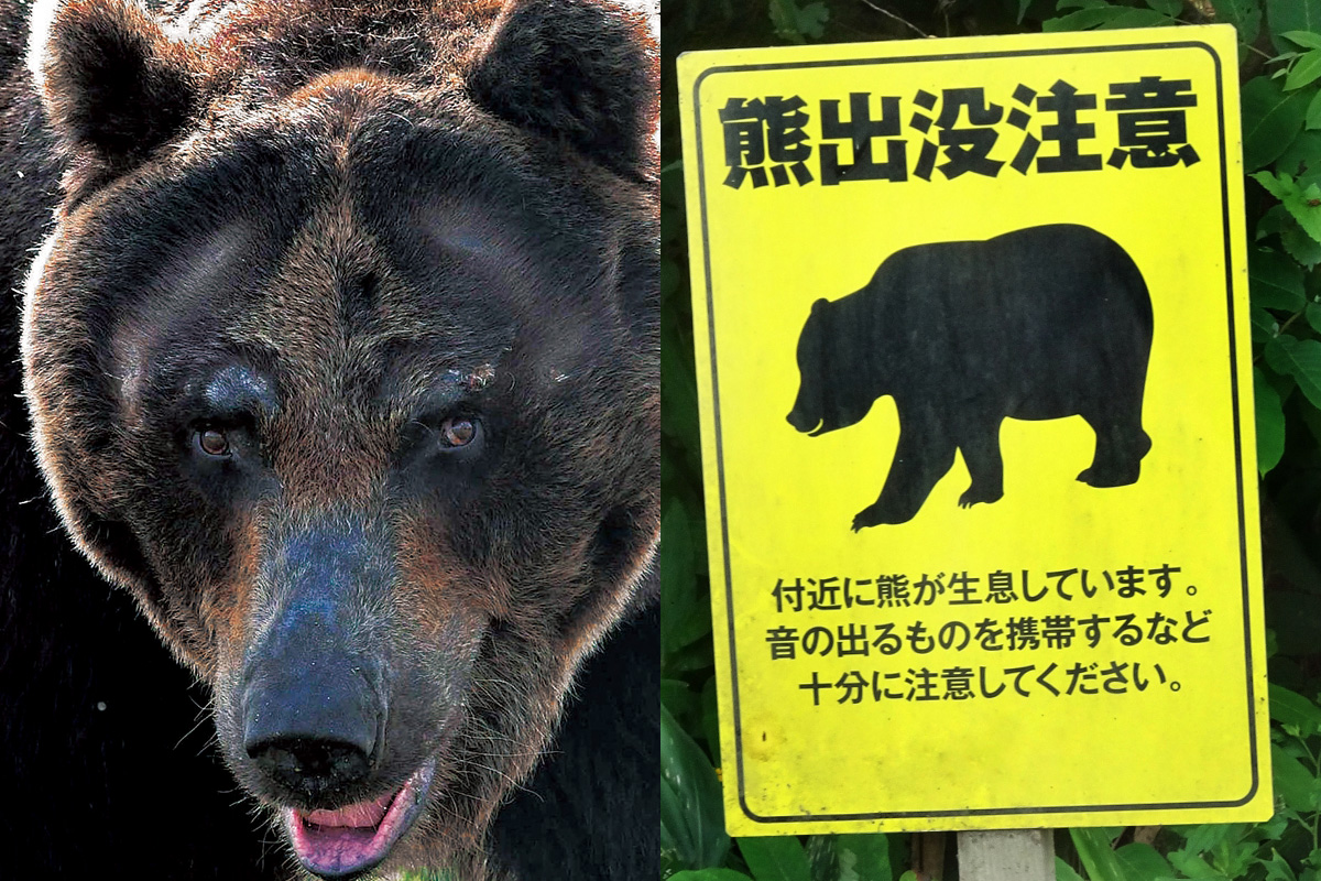 熊ページ 写真】「熊に喰い尽くされ、骨がむき出しに」「大声をあげても襲って