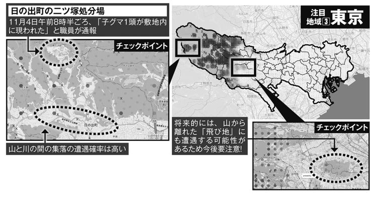 AIが予測「クマ遭遇地形が丸わかり」【東京】