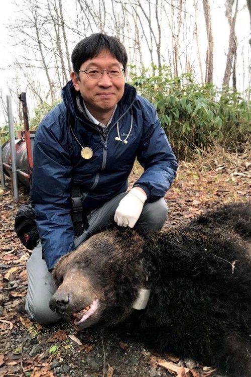 坪田氏は現在、クマの冬眠メカニズムを中心に研究をしている（坪田氏提供）