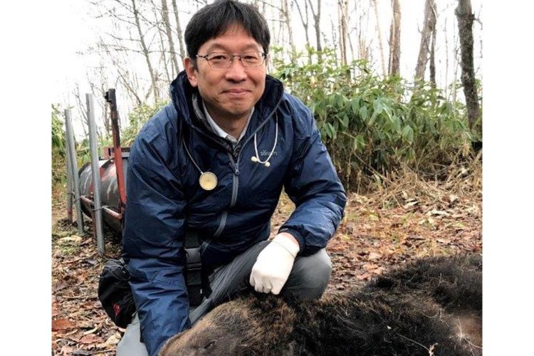”クマ研究の権威”である坪田敏男教授がインタビューに答えた（坪田氏提供）