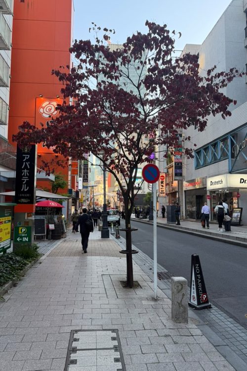 現場は赤坂の中心地