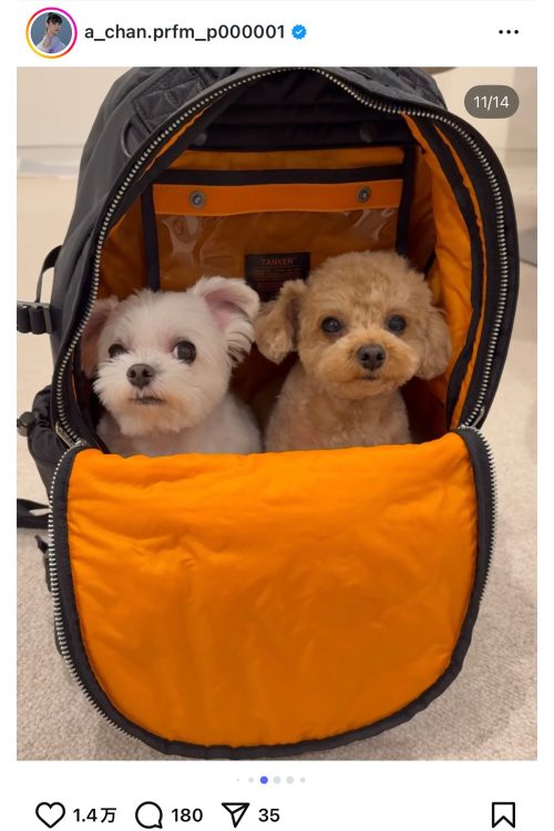 愛犬もPORTERのかばんの中に（Instagramより）