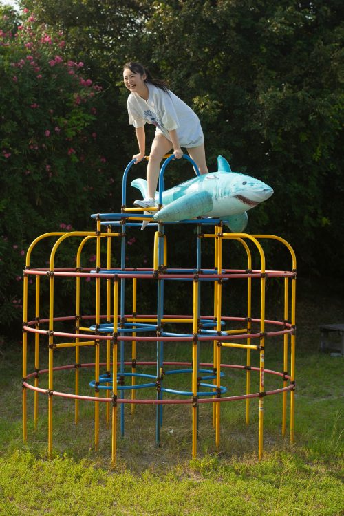 ジャングルジムの上に乗って見せたあどけない笑顔