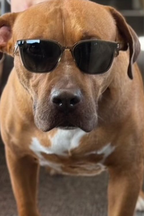 サングラス姿も（Instagramより）