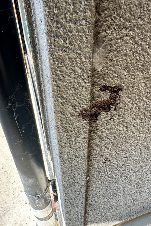 テツとクマが死闘を繰り広げたとみられる血飛沫が飛び散っていた