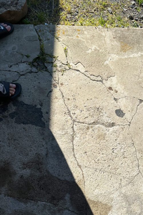 テツの背中にはクマの爪がいくつか刺さり流血していた