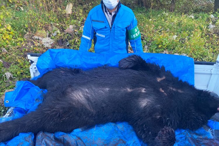 今年は自治体からの出動依頼が毎日のようにあるという