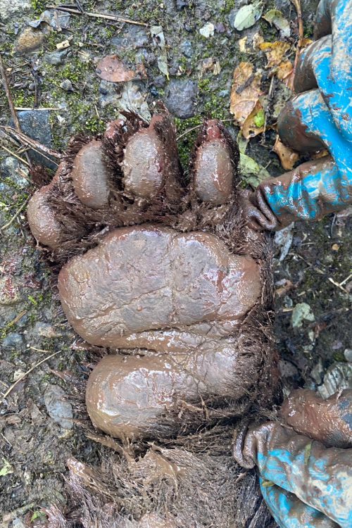 金銭的にはとても割に合う仕事ではないようだ