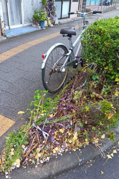 植木は事故後の悲惨な状態になっていた（現場写真）