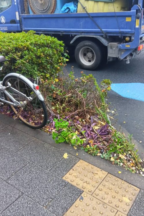 穏やかな昼上がりの時刻に事故は発生した（現場写真）
