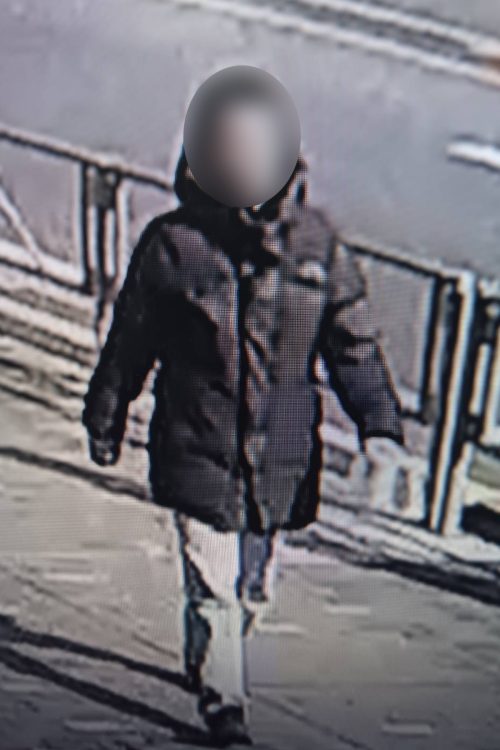 腕を振り堂々と歩いている姿が映っていた（読者提供）