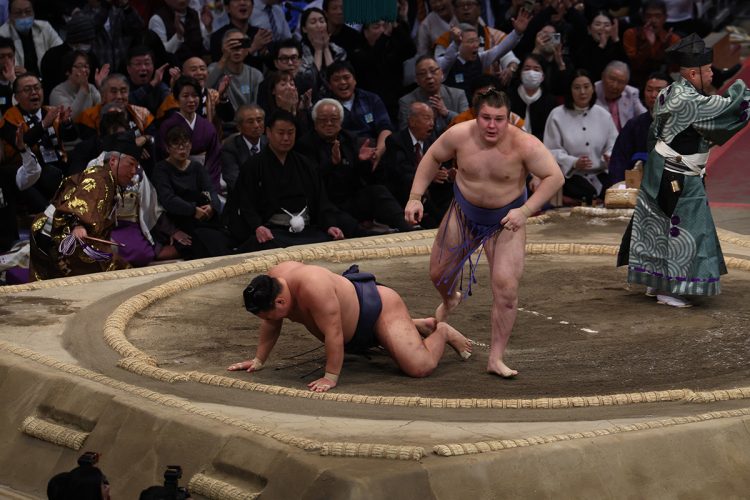 決定戦で横綱を下した安青錦（写真／JMPA）