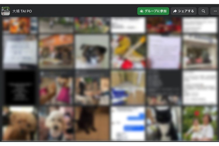 現地ではFacebookのコミュニティなどを通して情報共有が行われている（FBより）