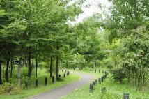 小田急・京王・田園都市線「価値が上がる駅」の共通点　「浜田山」ほか高級住宅街と「桜新町」ほかコスパ文教地区の2タイプに　専門家は「駅周辺で生活が完結する街が堅実」と指摘