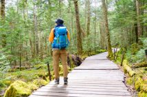 クマ被害拡大で登山者の安全対策にも意識変化、約8割が「不安を感じ登山をためらう」　AI活用「クマ遭遇リスクマップ」の開発会社に“クマ被害の傾向と対策”を聞いた