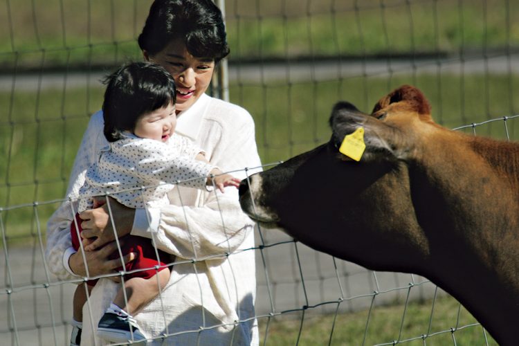 大きな牛にも興味津々（2002年10月、撮影／JMPA）